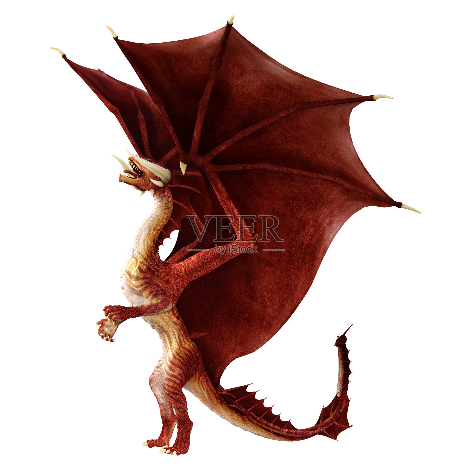 3D渲染童话龙在白色照片摄影图片