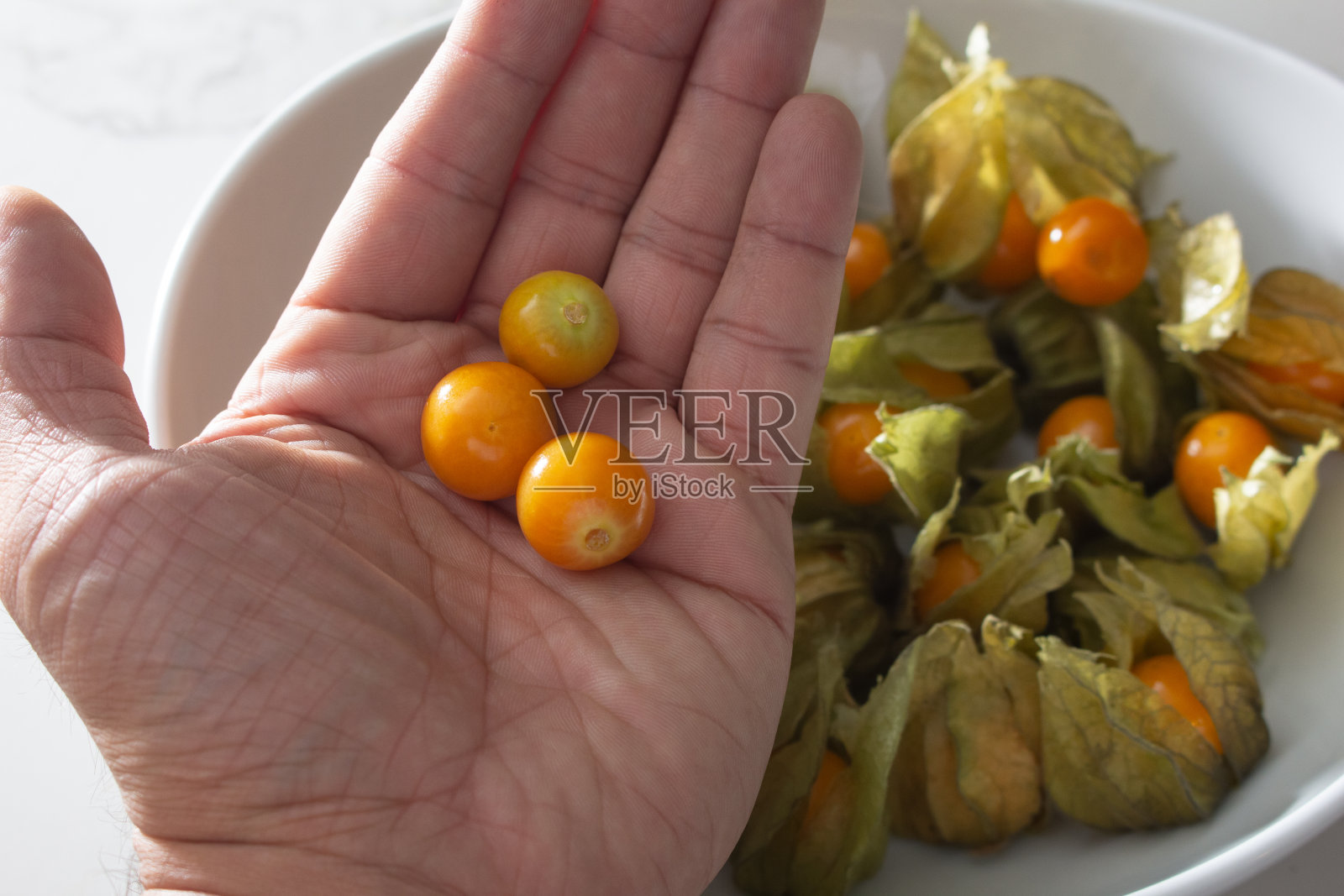 手拿醋栗照片摄影图片