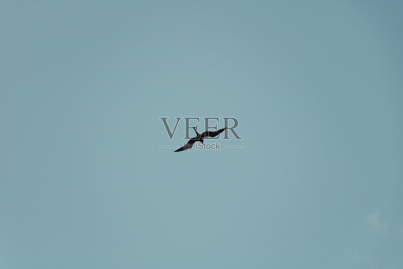 自由的概念照片摄影图片