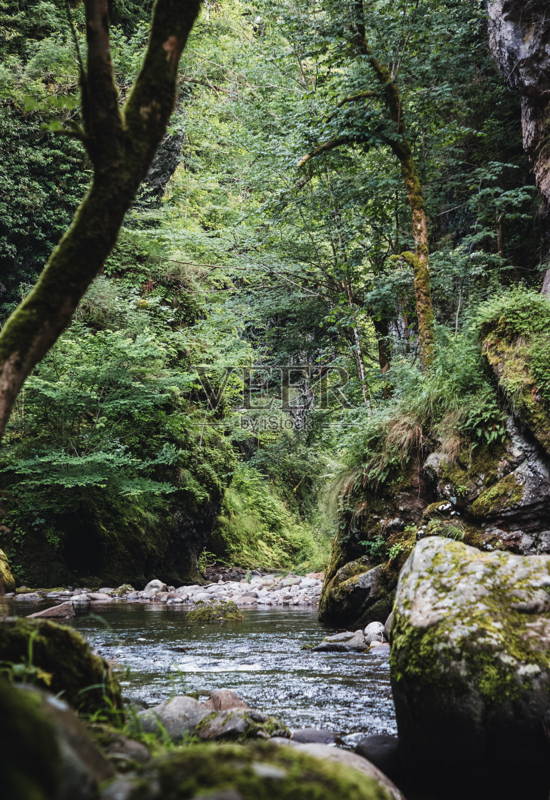 隐藏的瀑布照片摄影图片