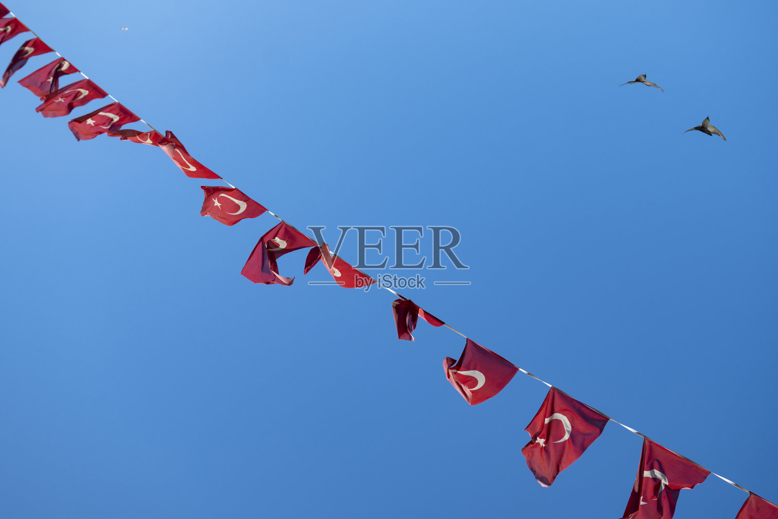 土耳其国旗在刮风的天气照片摄影图片