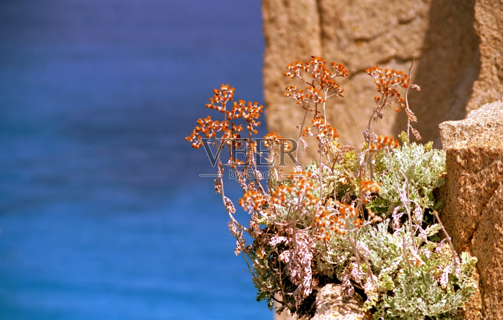 可以看到岩石和大海照片摄影图片