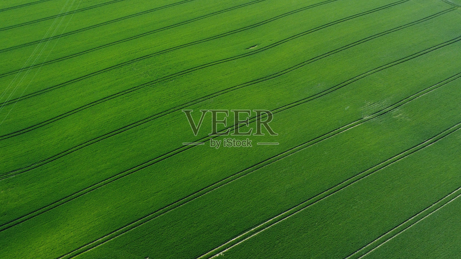 农村的农田作物航拍图照片摄影图片