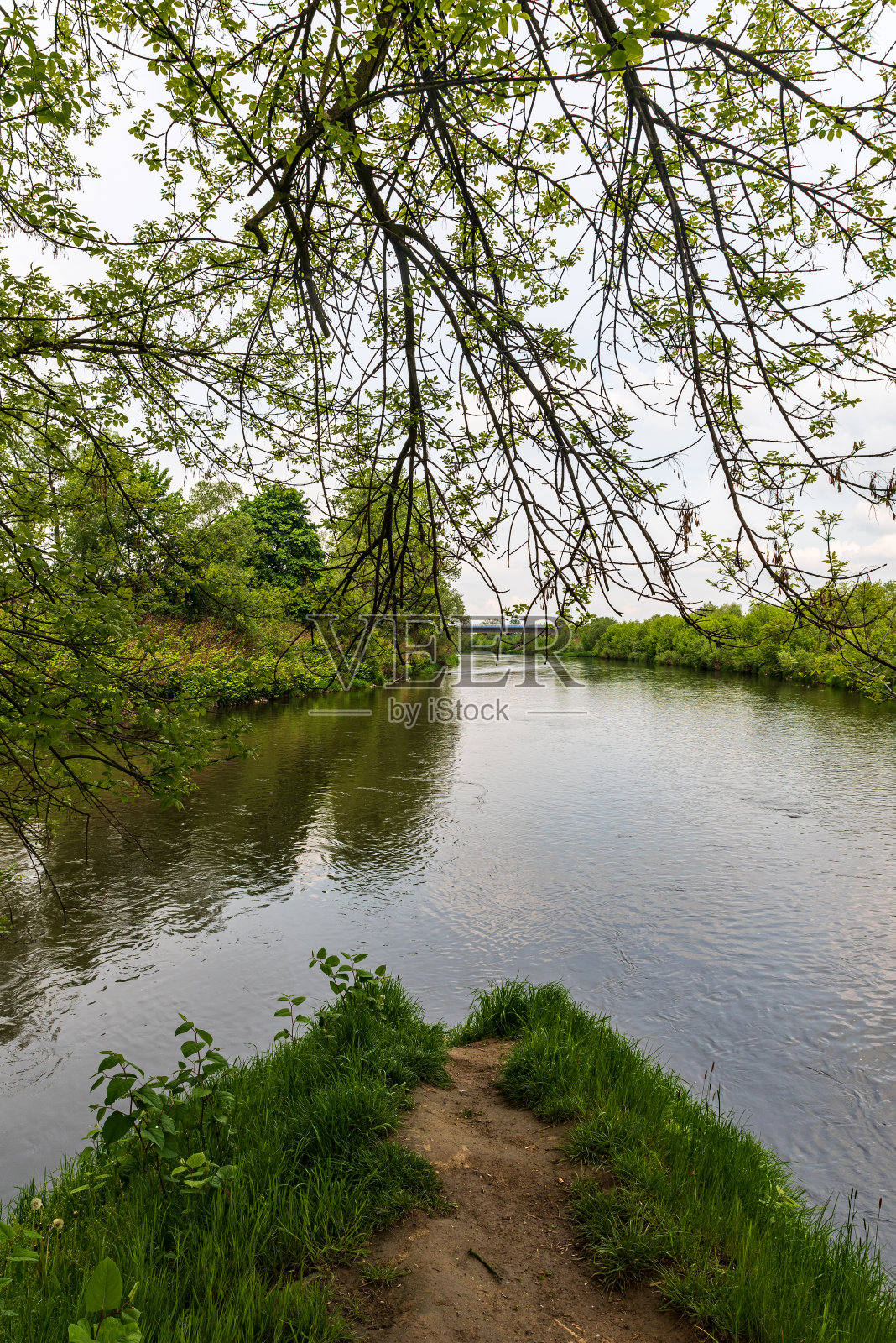 奥尔斯河和奥德拉河的支流靠近捷克和波兰边境的博胡明市照片摄影图片