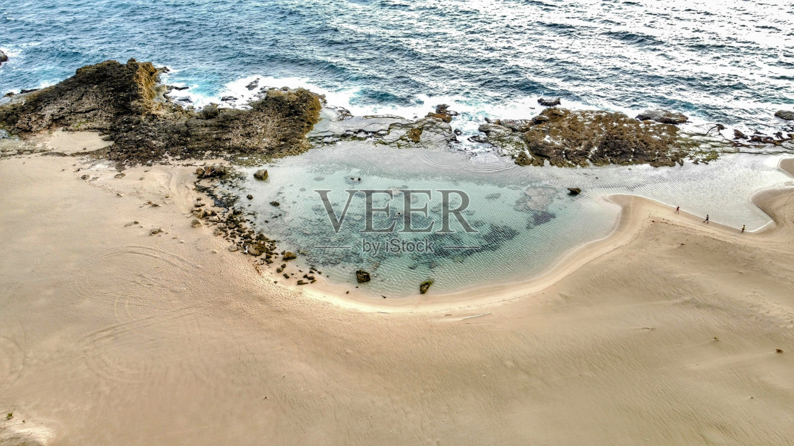 特奥多罗隐藏得很好，伊莎贝拉照片摄影图片