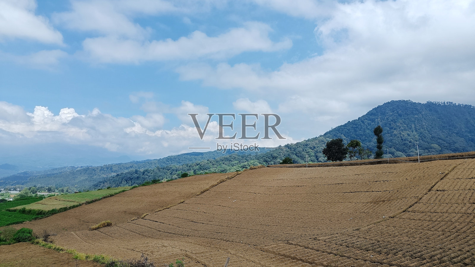 以山为背景，蓝天为背景的肥沃种植地景观照片摄影图片