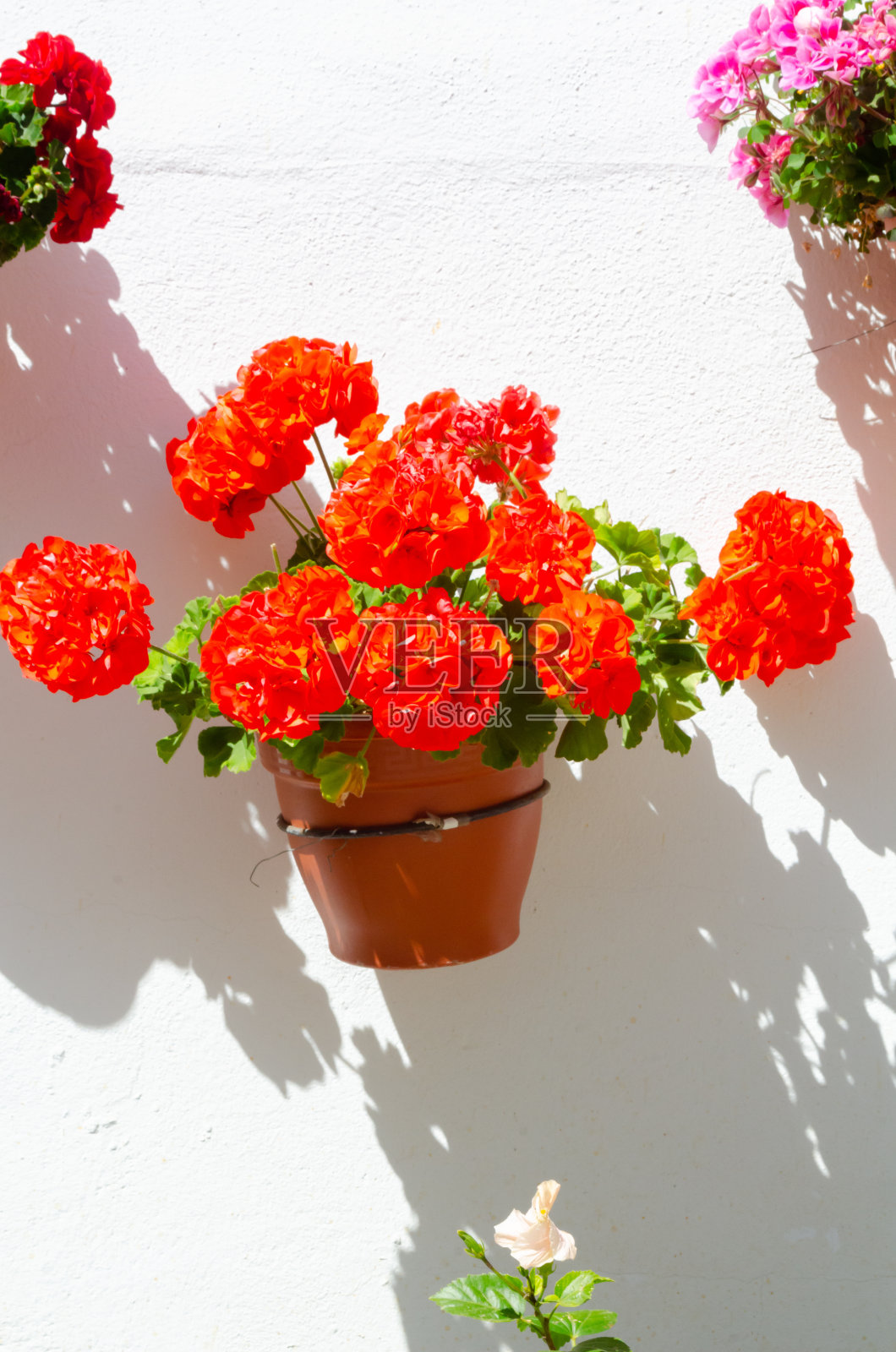 墙上挂着鲜花的陶瓷花盆，点缀着城市空间照片摄影图片