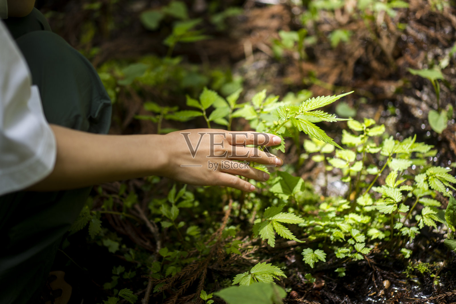 触摸玻璃照片摄影图片