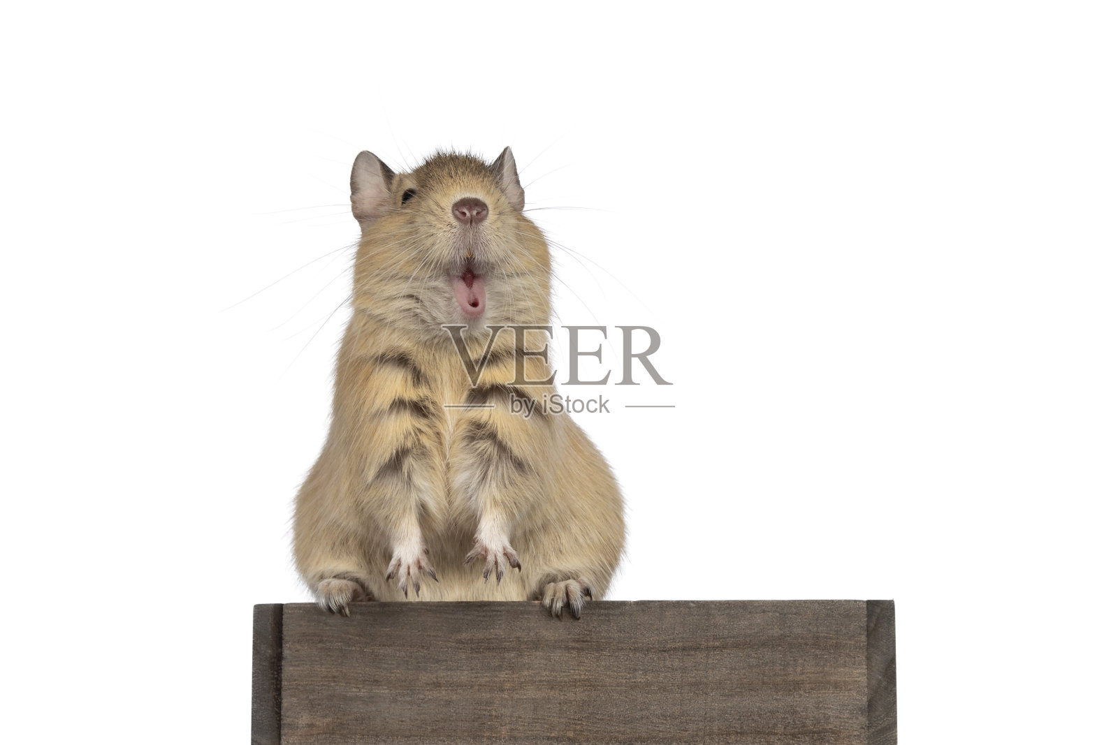 白底德鼓照片摄影图片