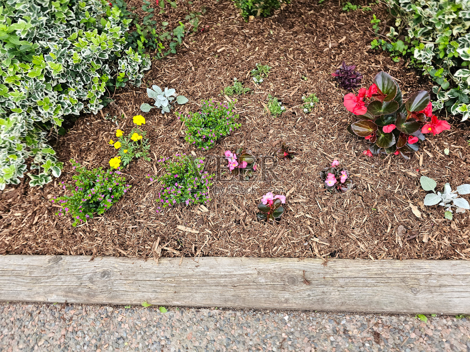 小花园照片摄影图片