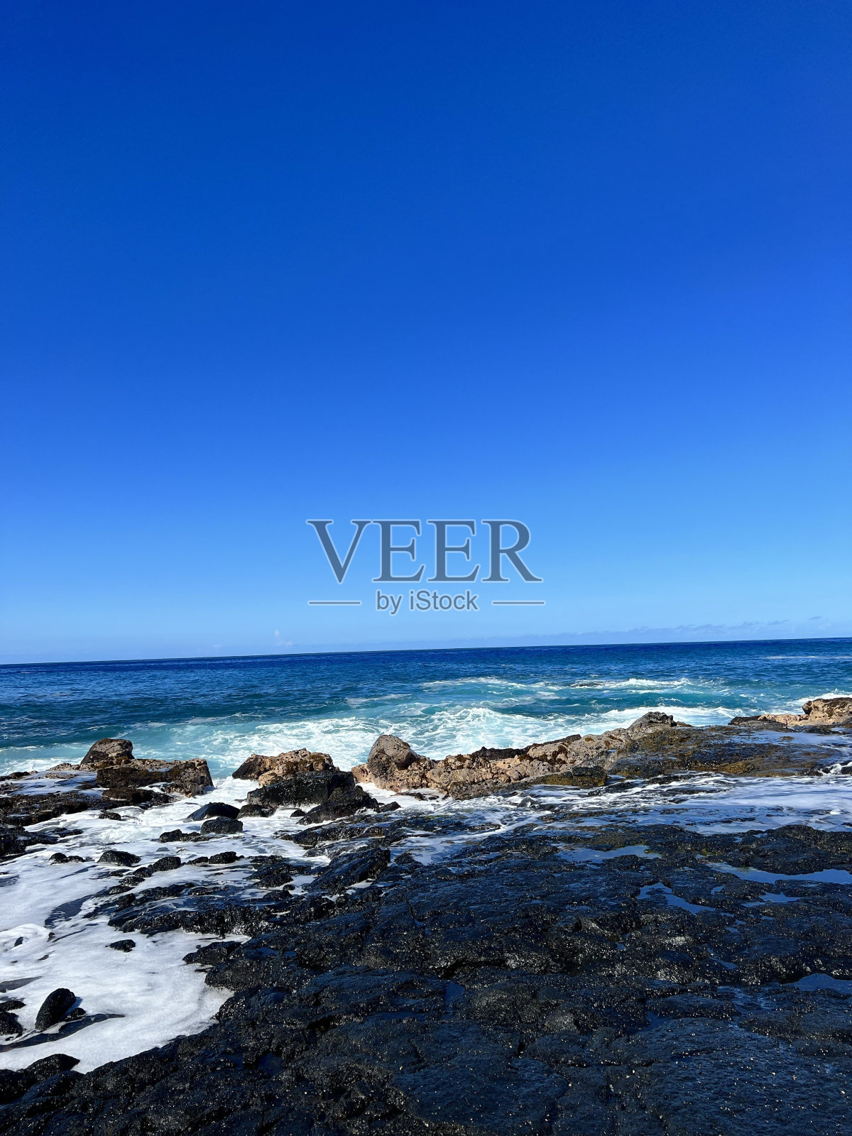 热带夏威夷海岸线照片摄影图片