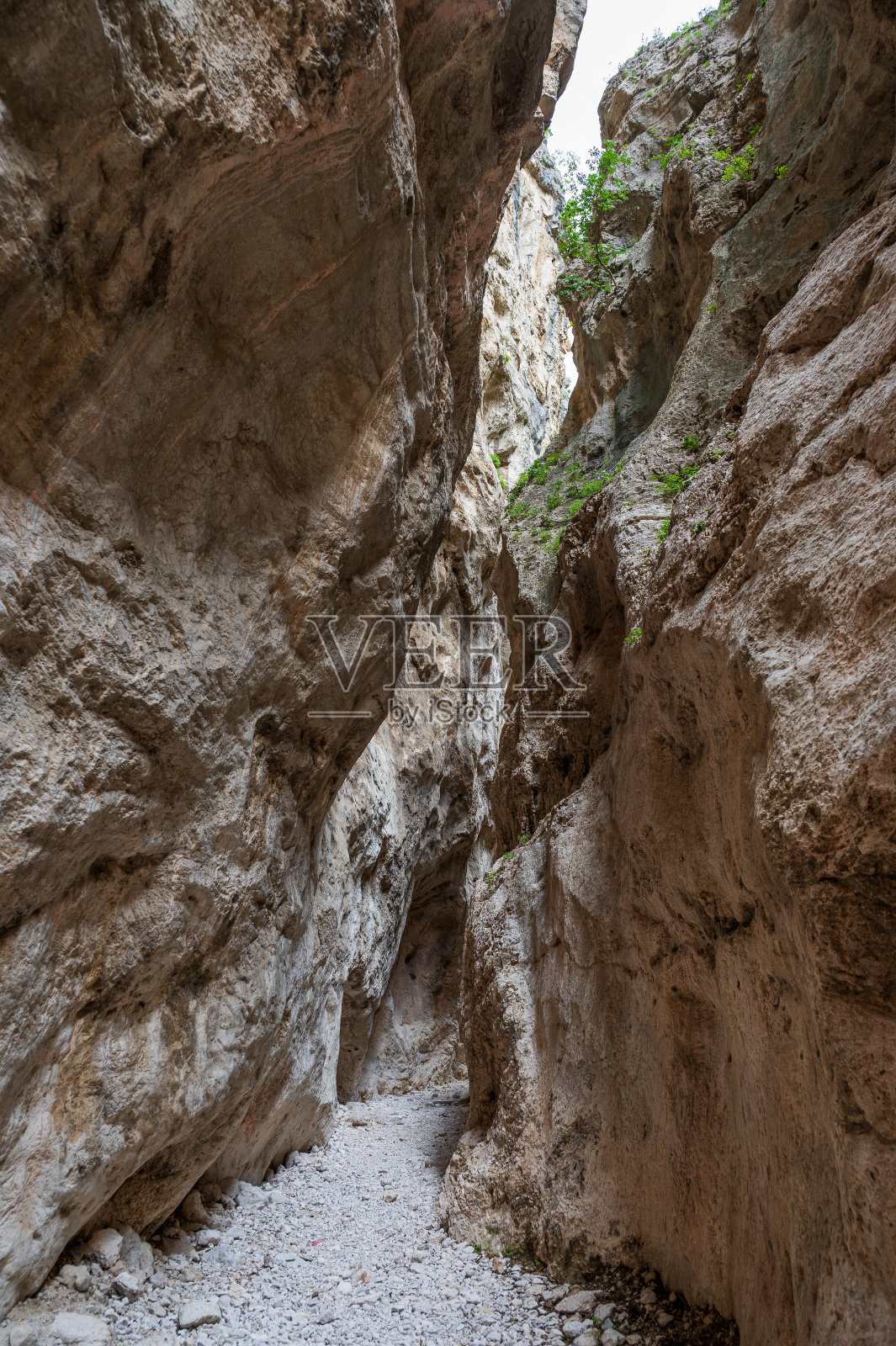 法拉圣马蒂诺-帕隆巴罗自然保护区，基蒂。圣马蒂诺峡谷照片摄影图片