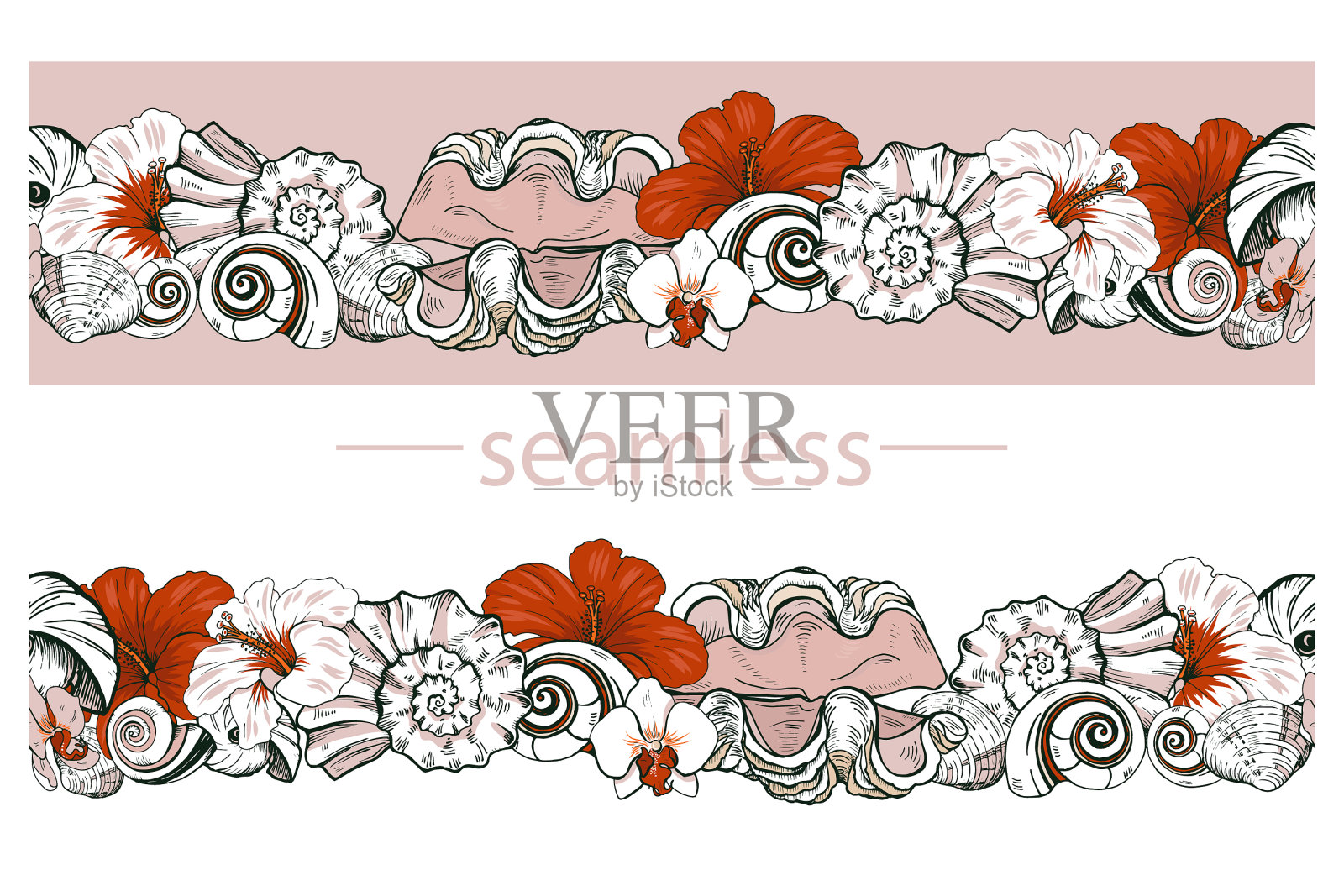 贝壳和鲜花插画图片素材