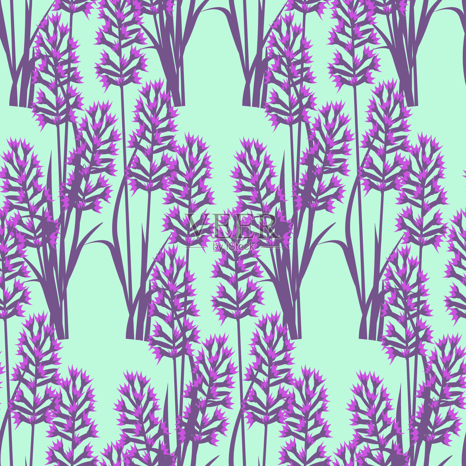 矢量-薰衣草植物无缝图案。插画图片素材