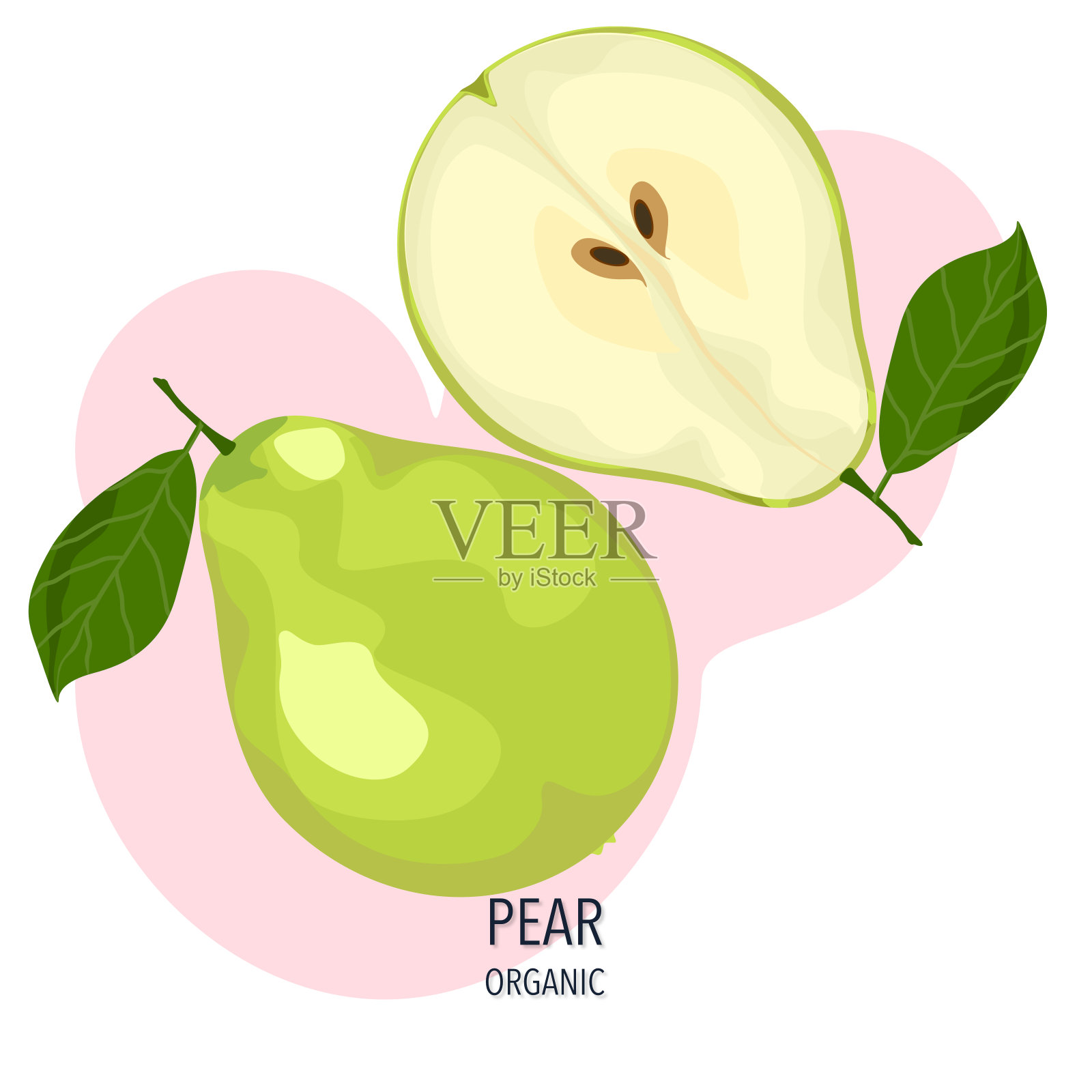 梨水果矢量插图，并在白色背景上切成两半。插画图片素材