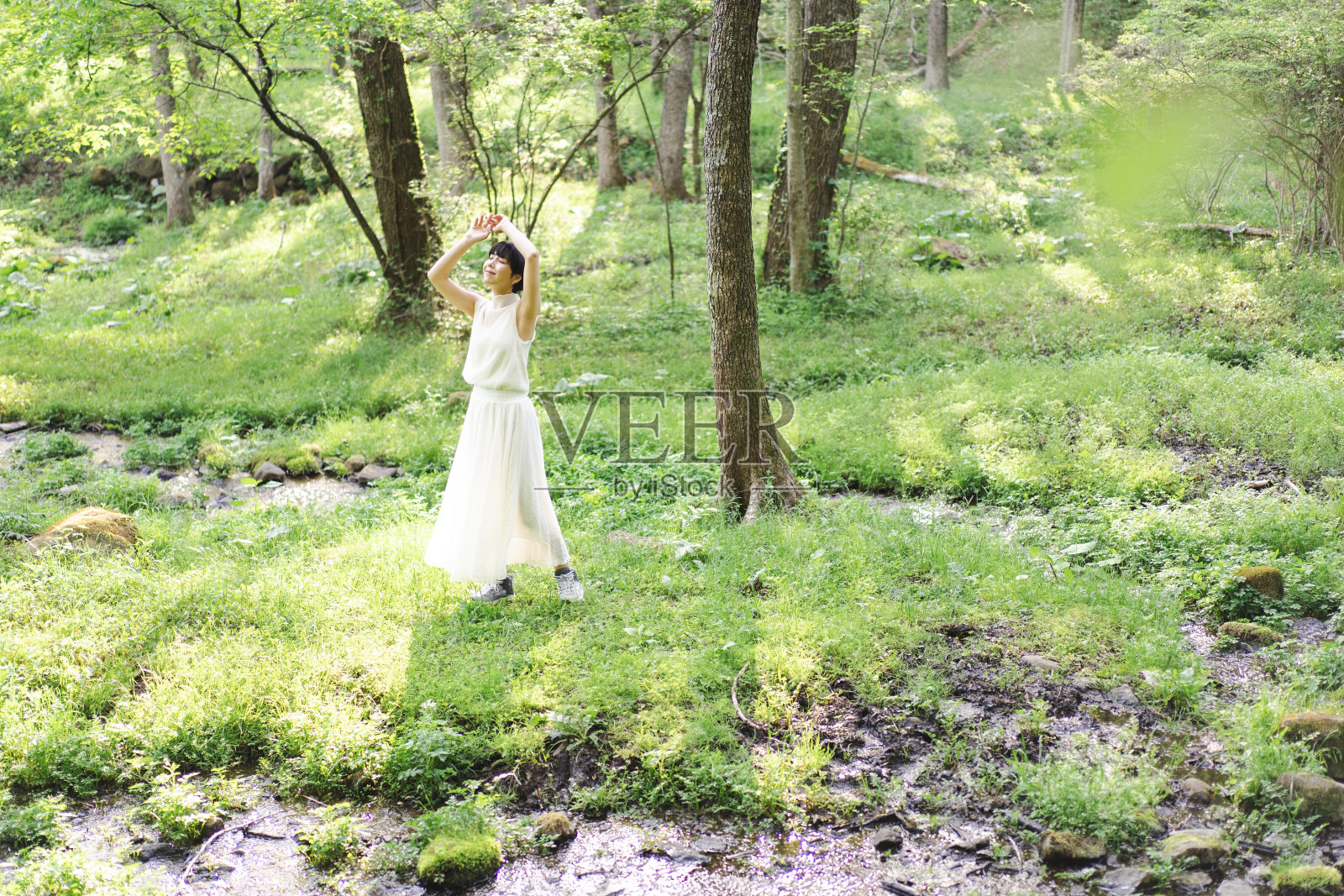 森林疗法照片摄影图片