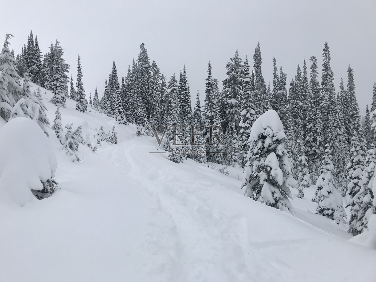 白雪皑皑的山坡照片摄影图片