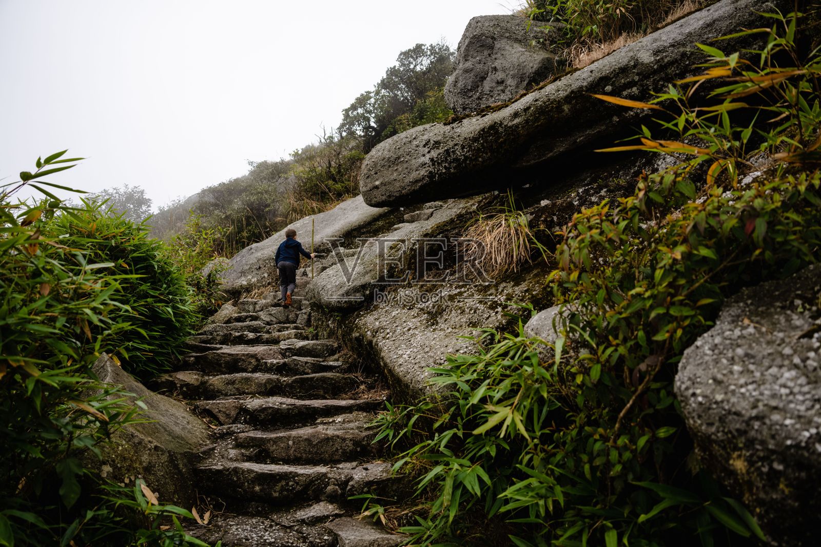 一个小男孩站在雄伟的群山背后，拄着一根拐杖走路照片摄影图片