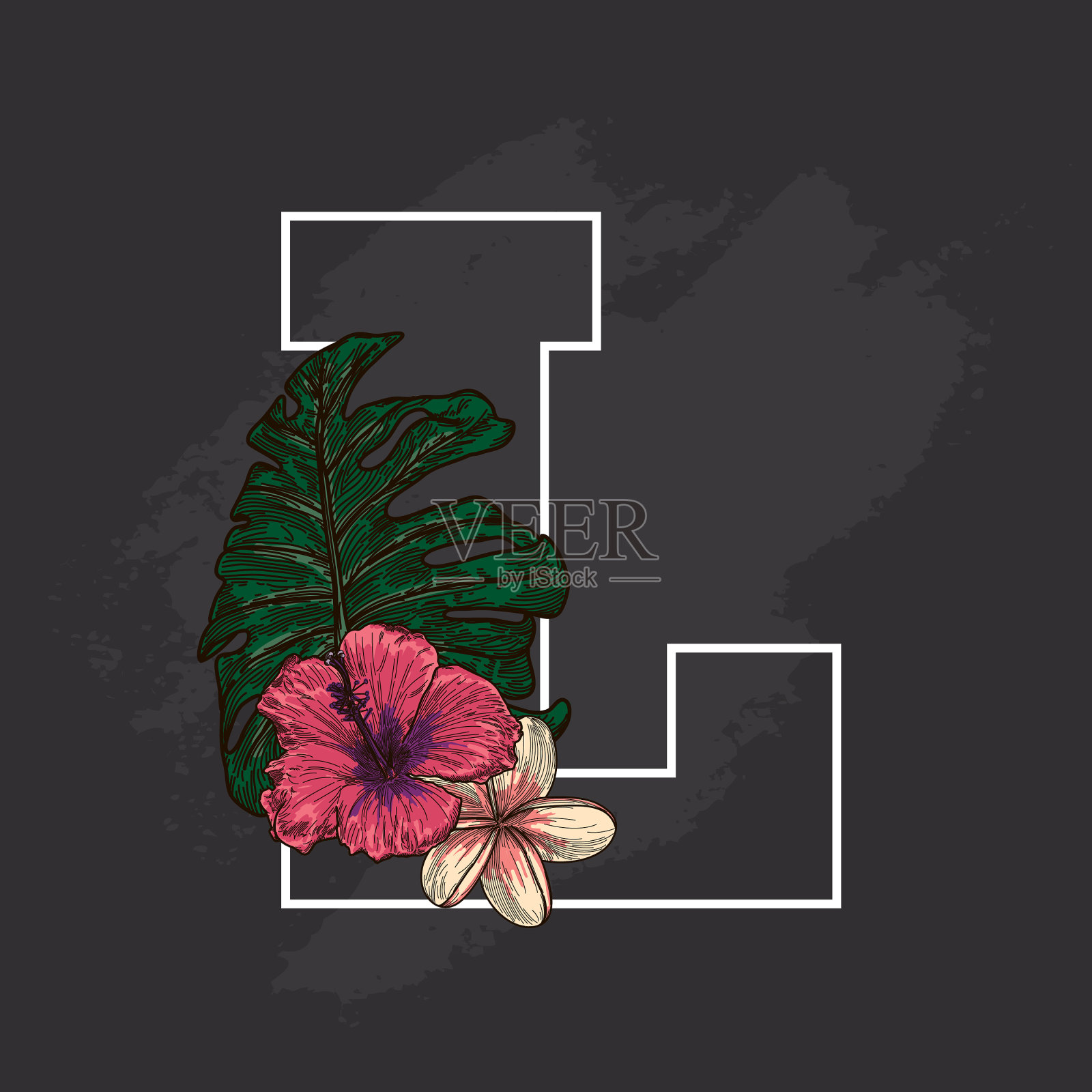 黑板热带植物花卉滴帽L插画图片素材