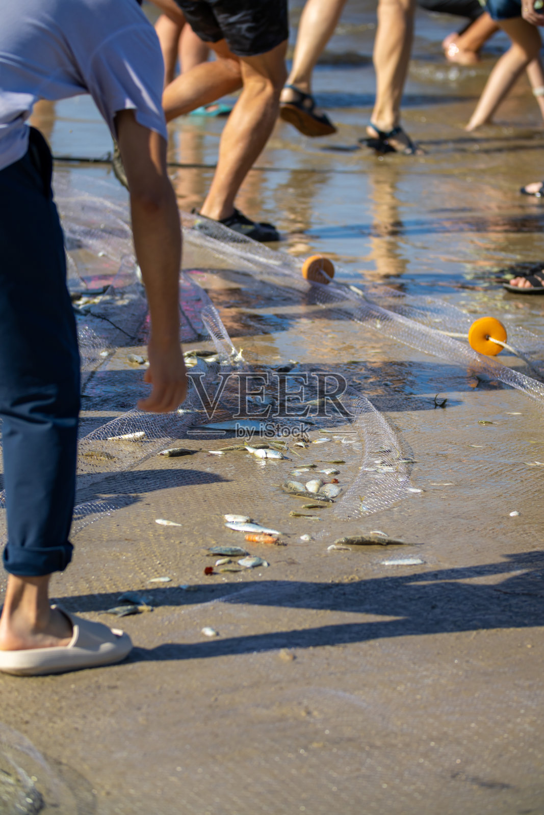 人们看着放在沙滩上的长刺网捕获的鱼和虾，这是当地家庭的晚餐照片摄影图片