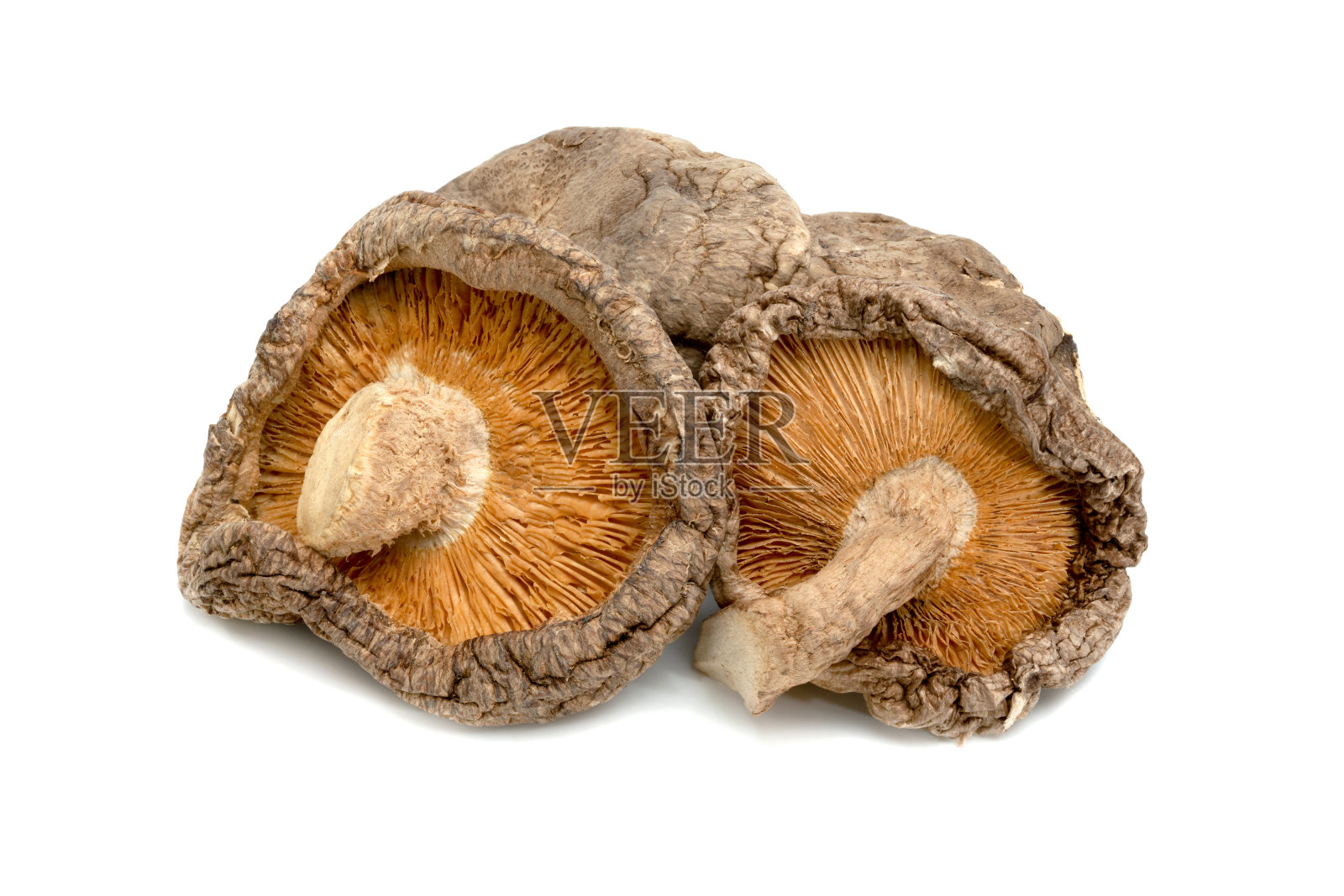 白底分离的干香菇照片摄影图片
