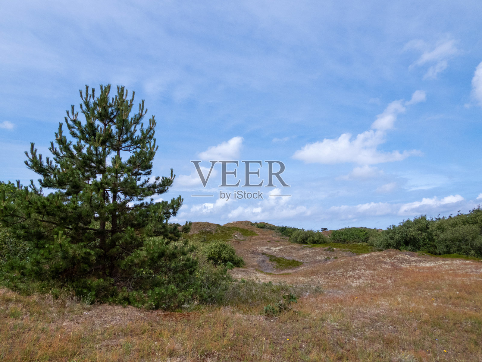 德国下萨克森州Spiekeroog的风景照片摄影图片