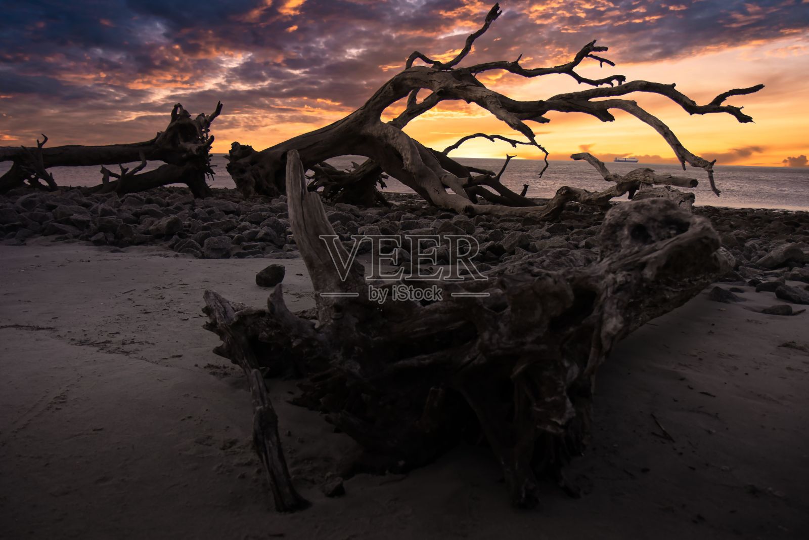 乔治亚州杰基尔岛浮木海滩的美景。照片摄影图片