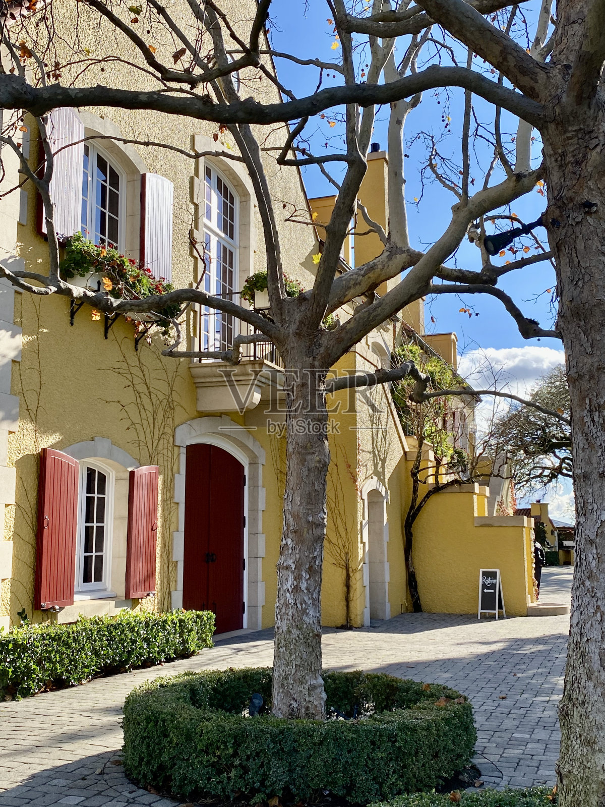 春天的树在黄色的房子前面照片摄影图片