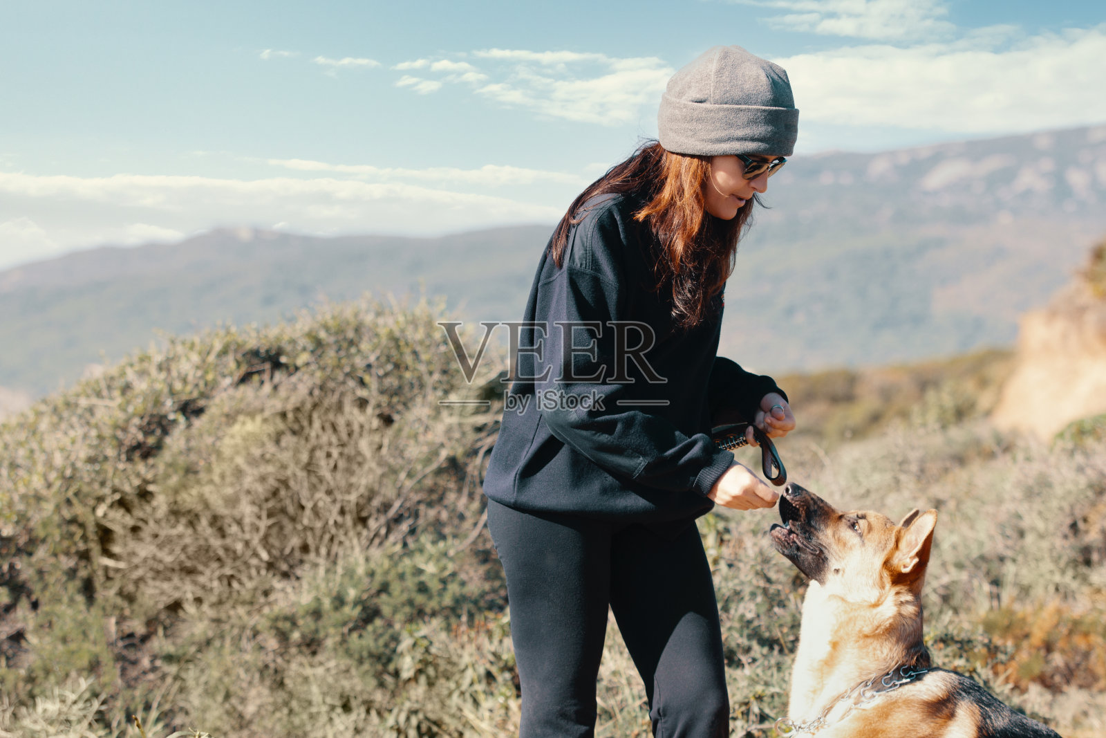 一名年轻女子在户外训练时给她的德国牧羊犬喂食照片摄影图片