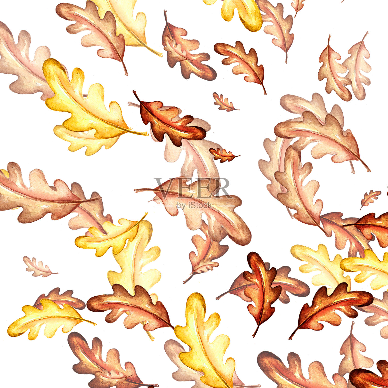 一组水彩元素。秋叶的山灰、枫、橡树。鲜艳的蘑菇。可爱有趣的狐狸。适合印制贺卡、请柬装饰。插画图片素材