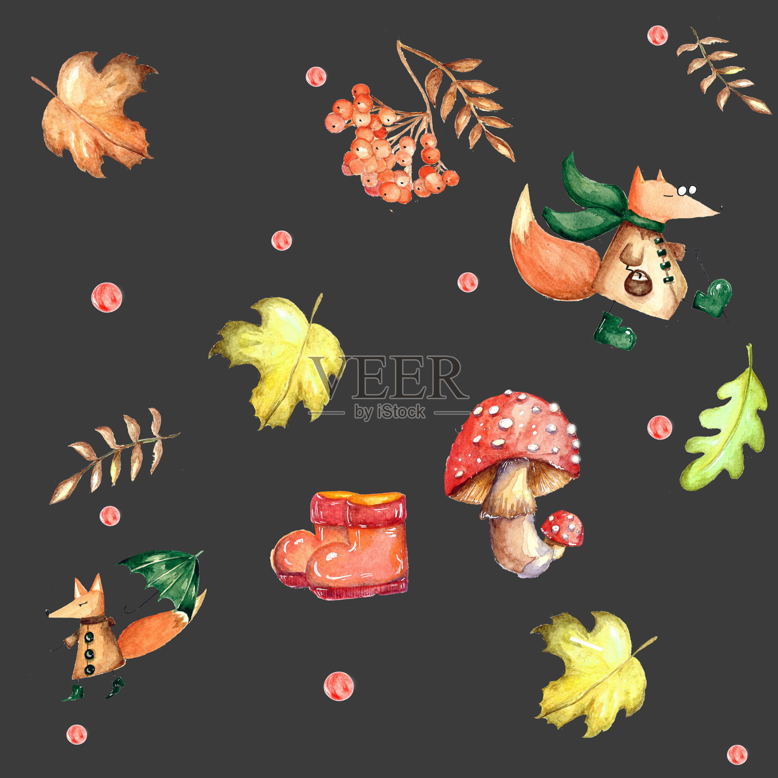 一组水彩元素。秋叶的山灰、枫、橡树。鲜艳的蘑菇。可爱有趣的狐狸。适合印制贺卡、请柬装饰。插画图片素材