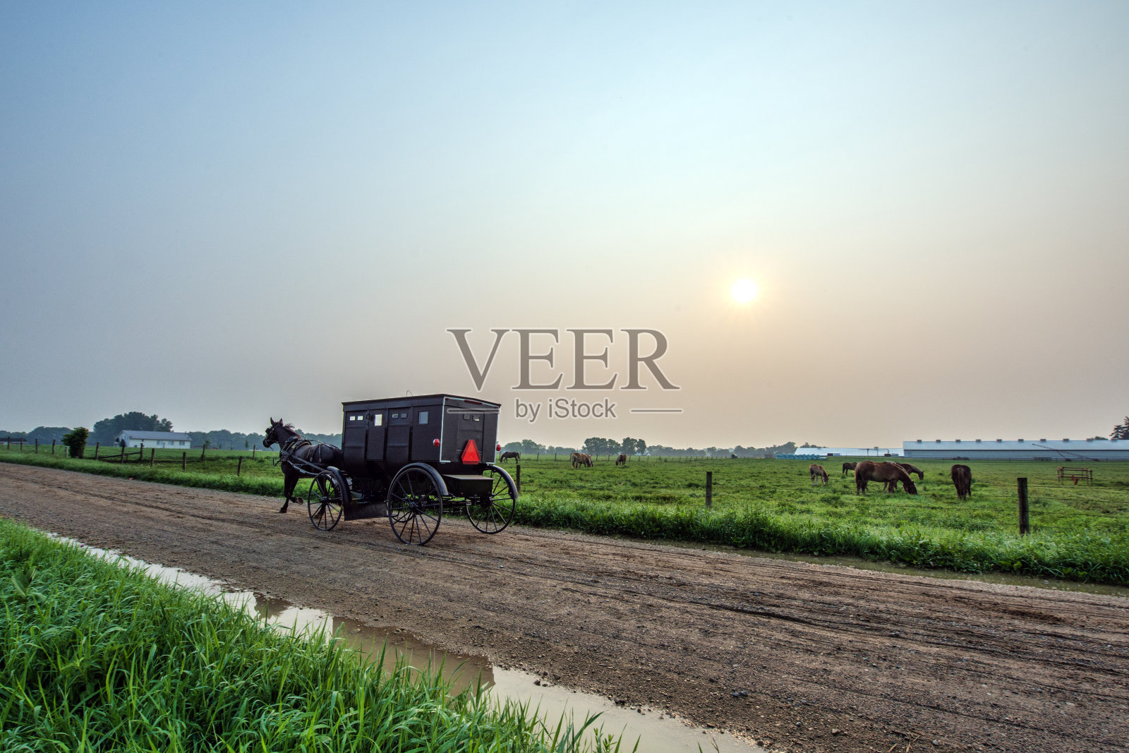 乡村砾石路上的阿米什马车照片摄影图片