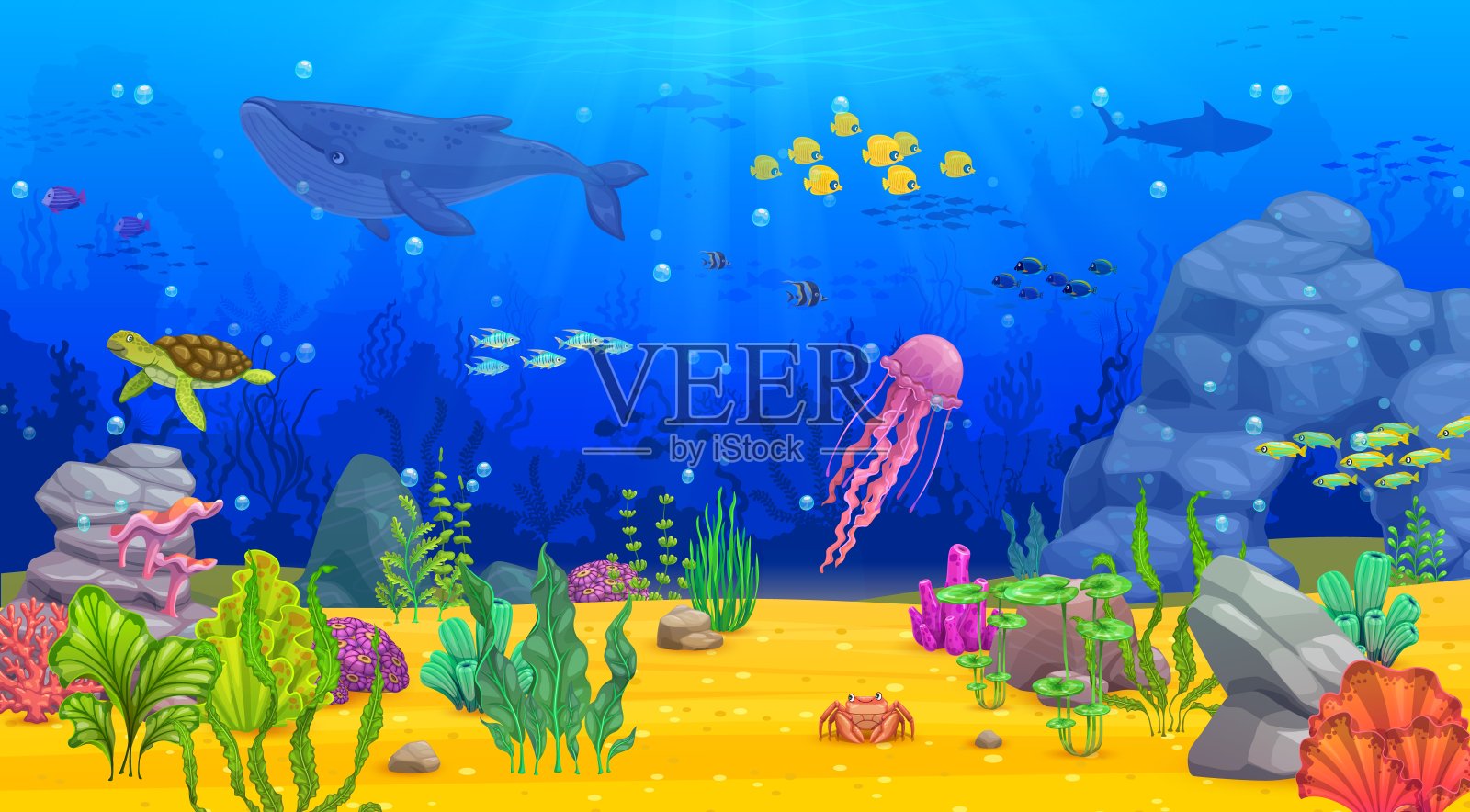 卡通水下景观，鲸鱼，鱼类，海藻插画图片素材