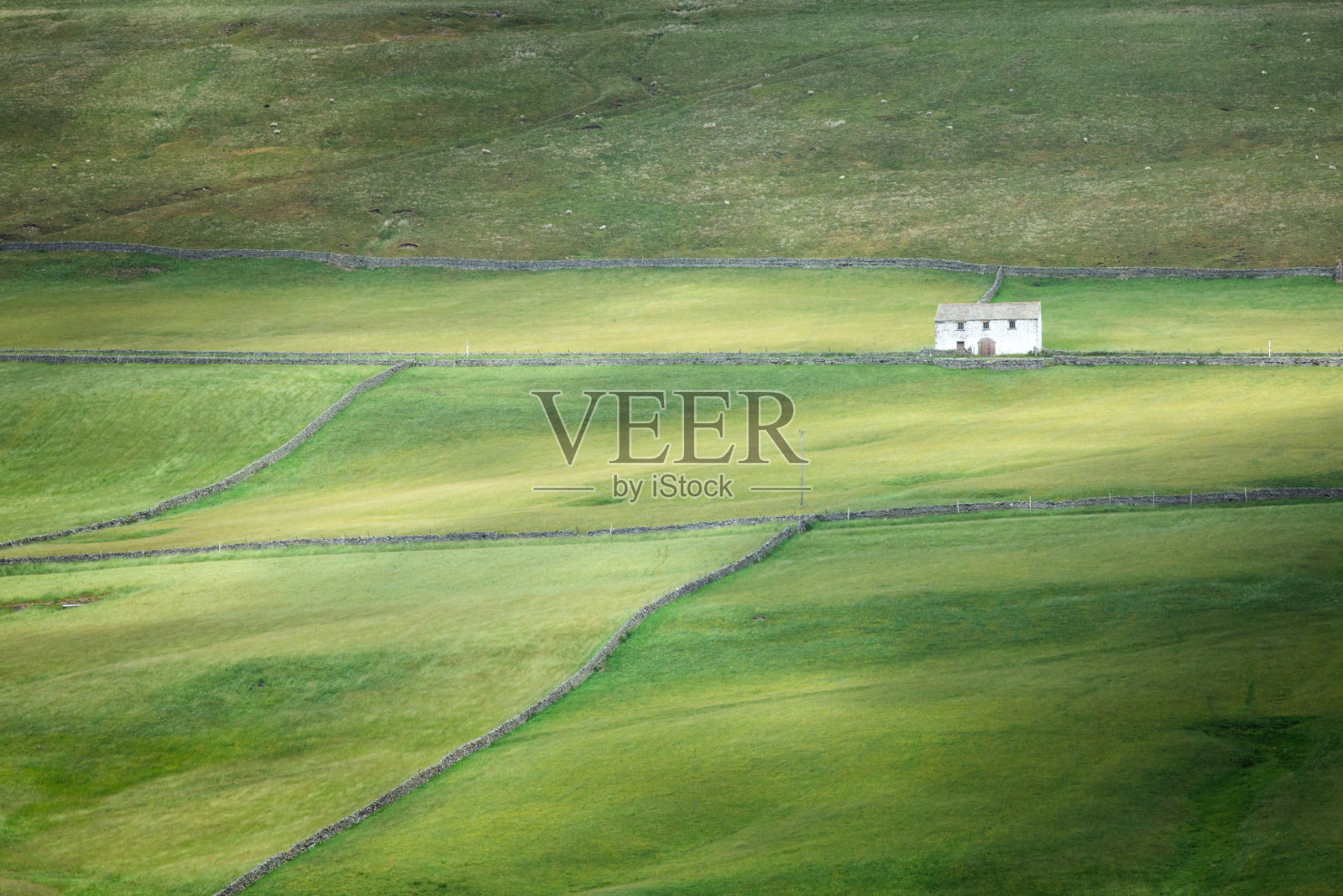 白色农舍，郁郁葱葱的绿色田野和干石墙，在上提斯代尔的土地上有光影，这是达勒姆郡夏季的一个杰出的自然美景区，从附近的奔宁路长途步道。照片摄影图片