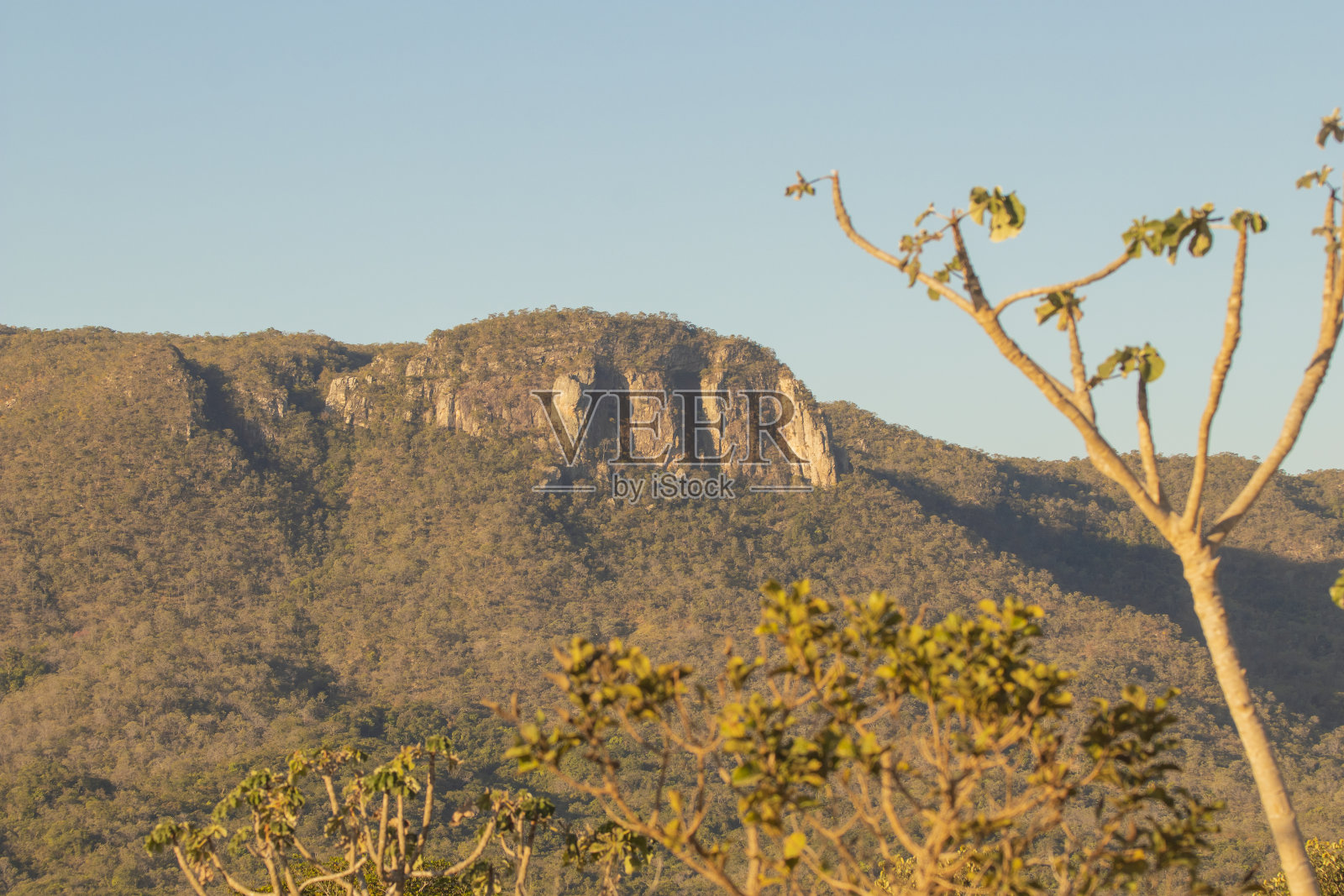 巴西中部美丽的萨凡纳景观。照片摄影图片