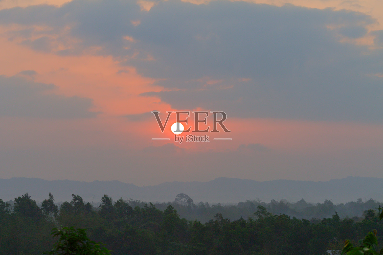 清晨，太阳从森林升起照片摄影图片