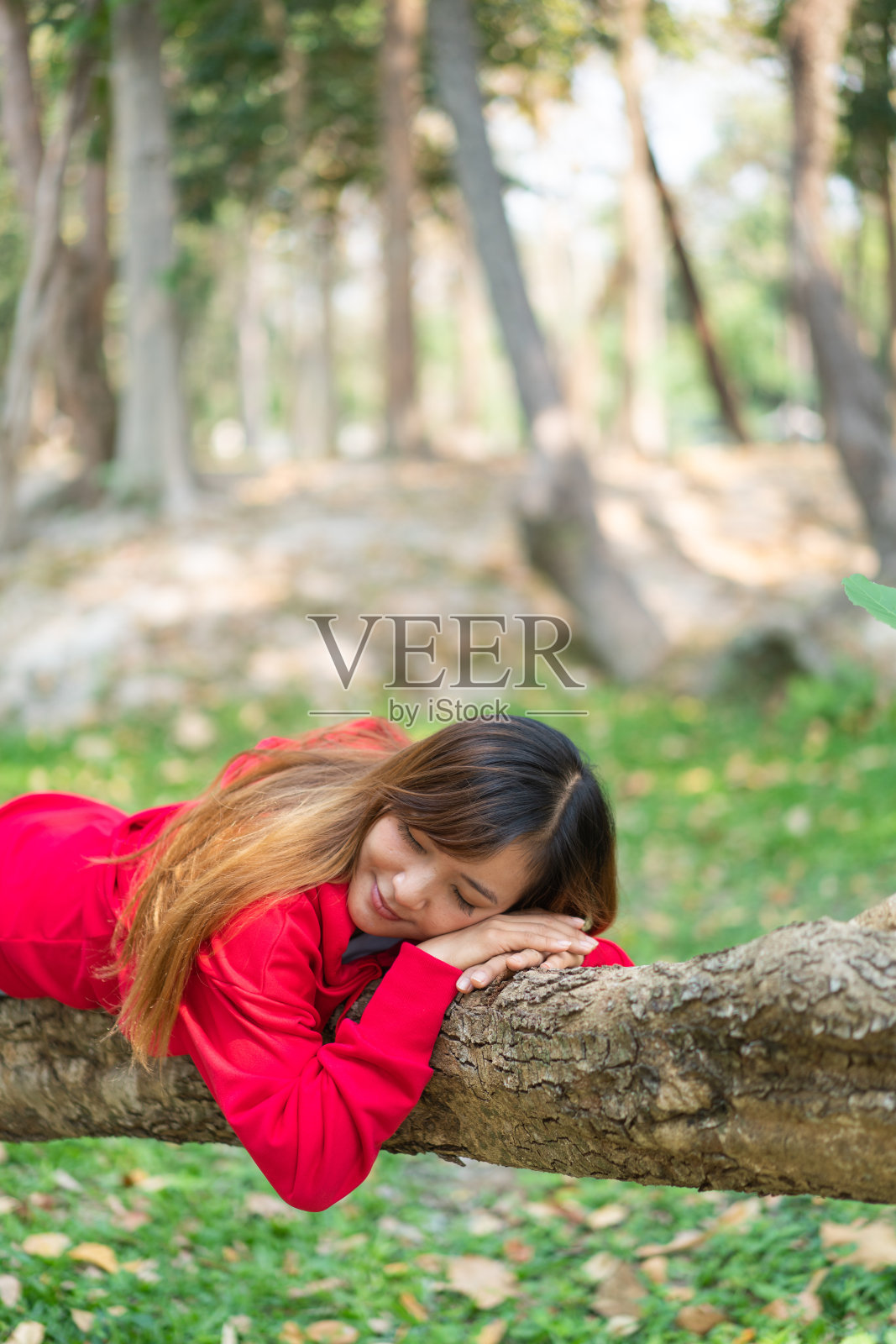 一个女人躺在自然的树干上。照片摄影图片