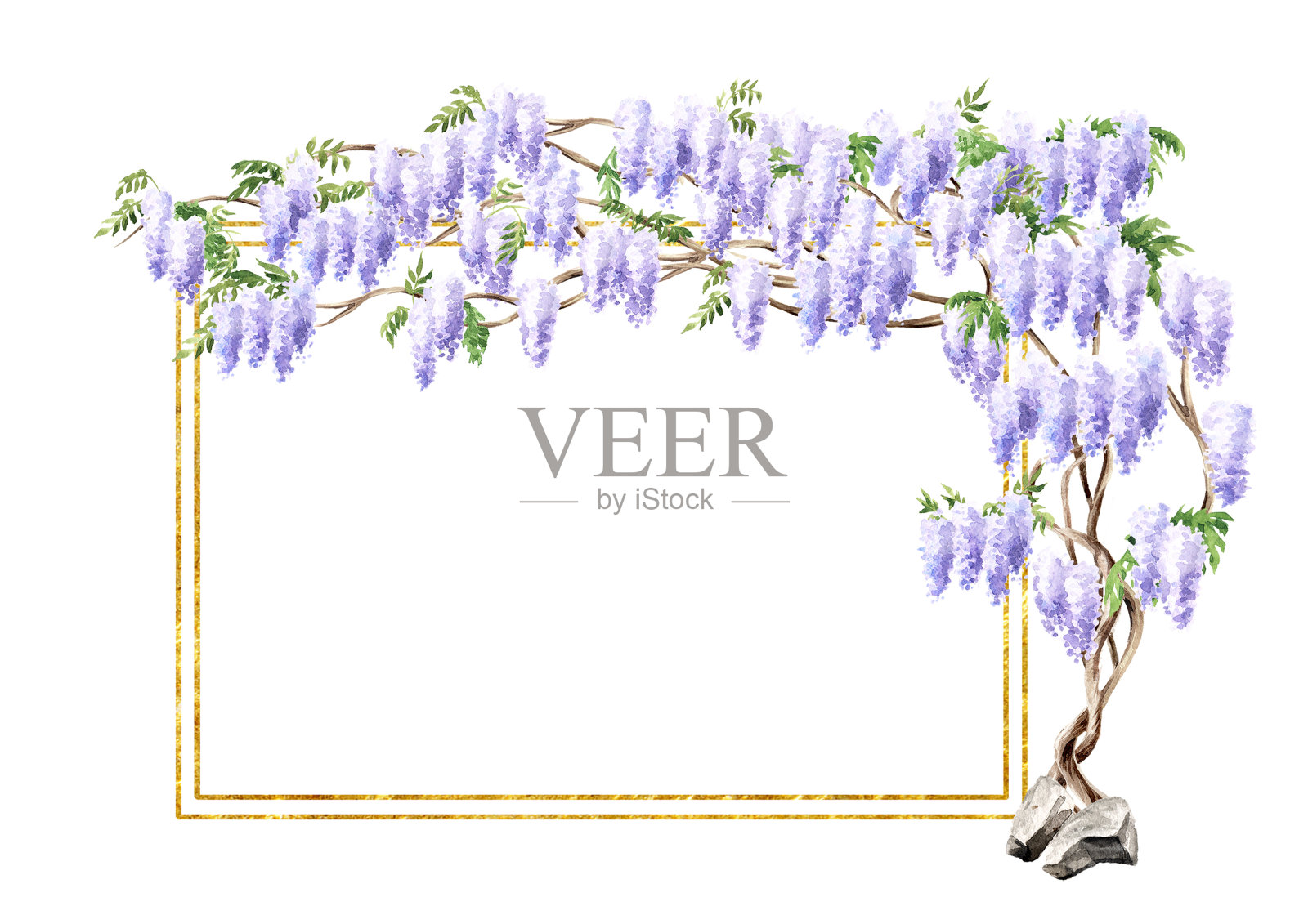 紫藤花树牌背景。手绘水彩插图孤立在白色背景插画图片素材