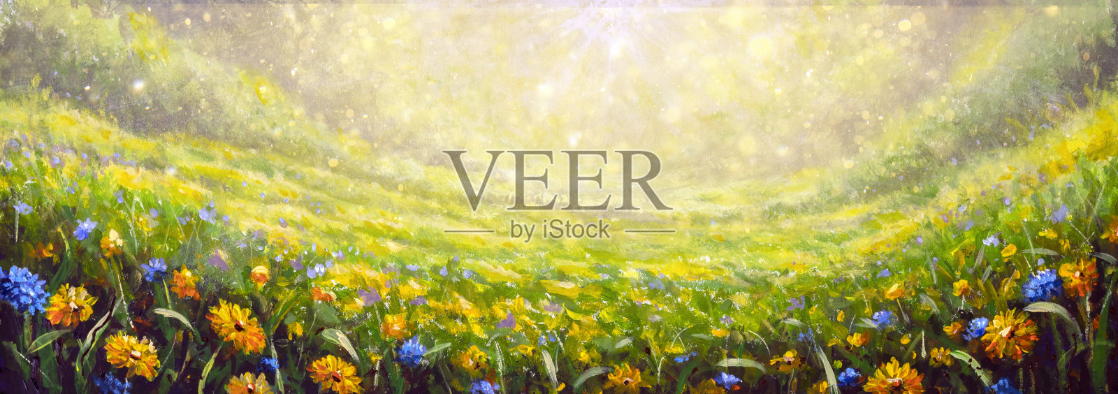 全景画夏季自然艺术背景与黄色的花朵雏菊和蓝色的野花在草地上对黎明早晨。超宽全景景观，横幅格式插画图片素材