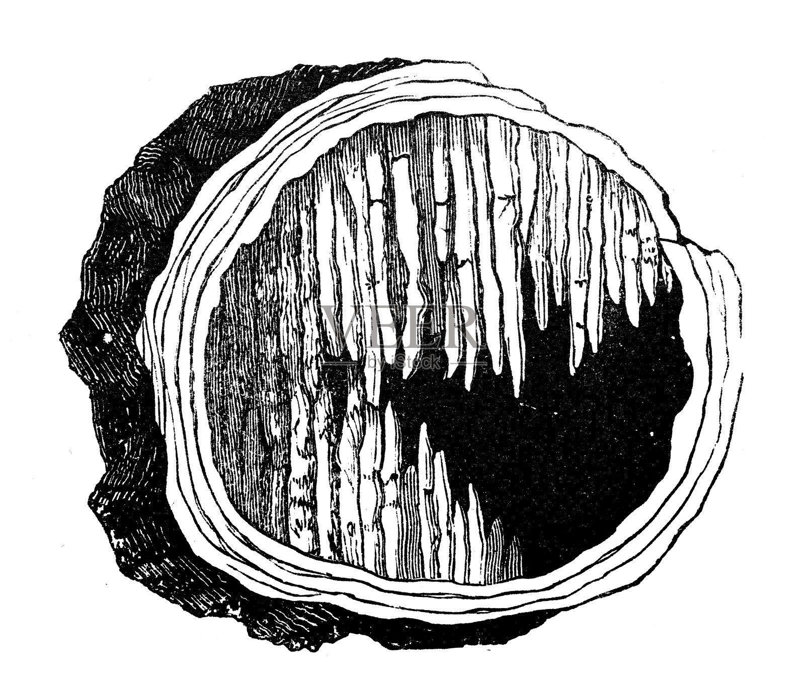 古董插图，地质学:Amygdale洞穴填充插画图片素材