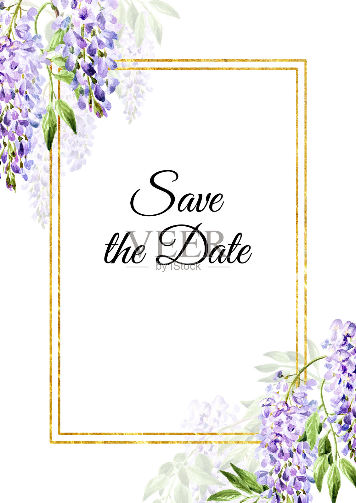 紫藤花，保存日期邀请或贺卡。手绘水彩，插图孤立在白色背景设计模板素材