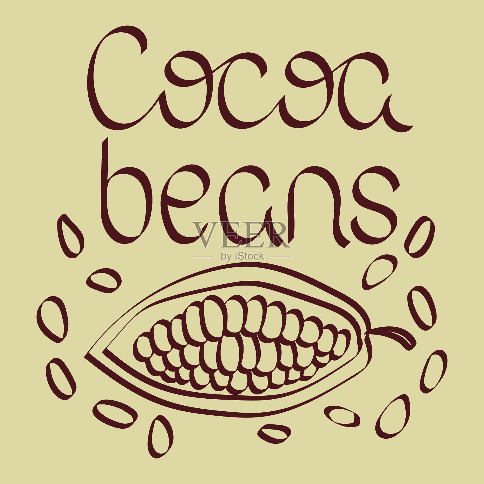 可可豆矢量插图。书法刻字。可可荚水果和谷物设计元素图片