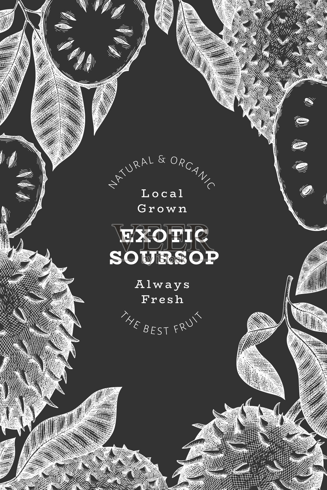 手绘素描风格soursop水果横幅插画图片素材