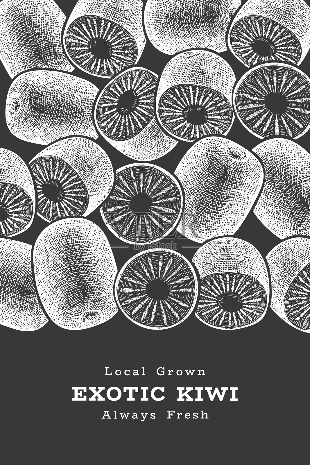 手绘写生风格的奇异果横幅有机清新插画图片素材