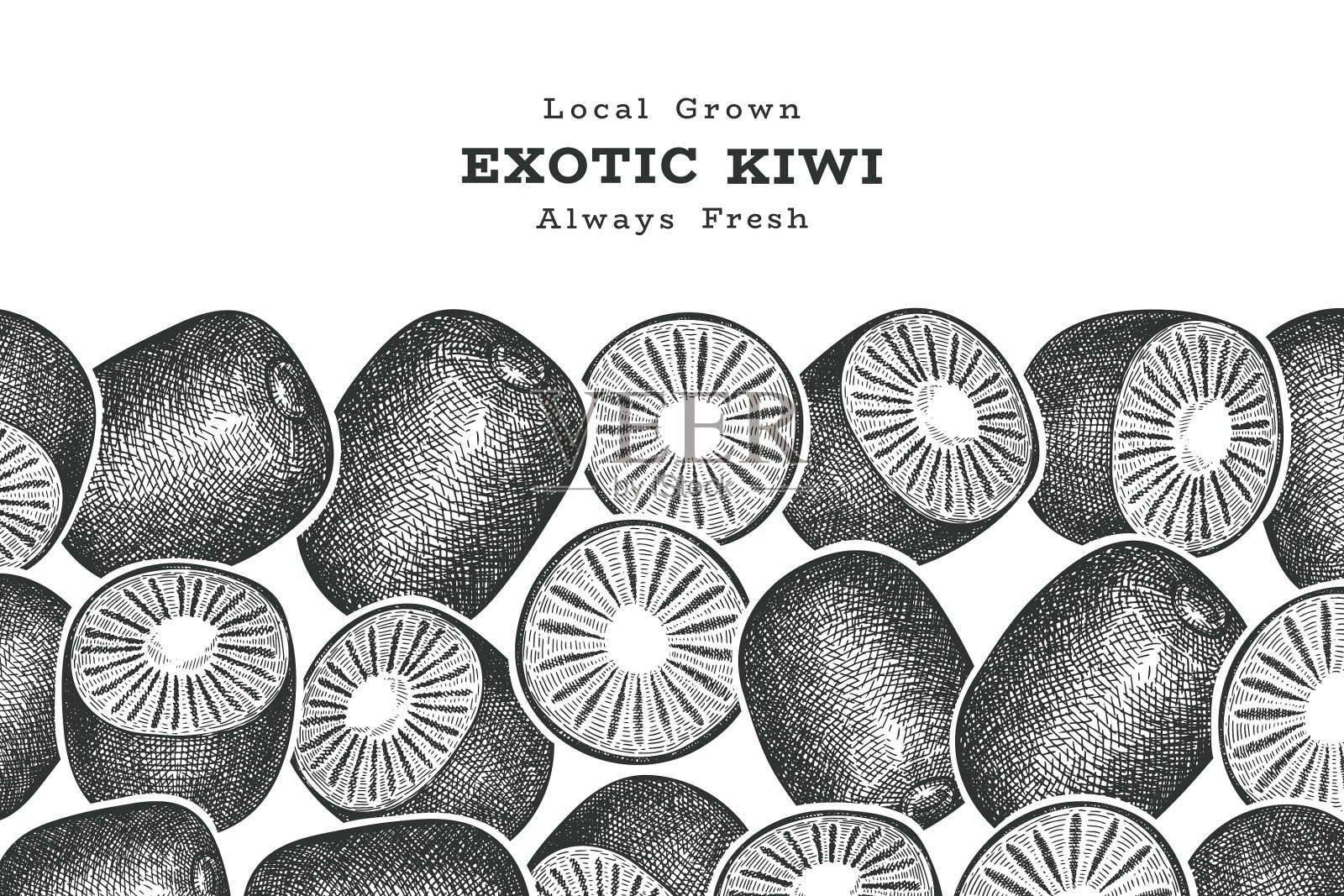 手绘写生风格的奇异果横幅有机清新插画图片素材