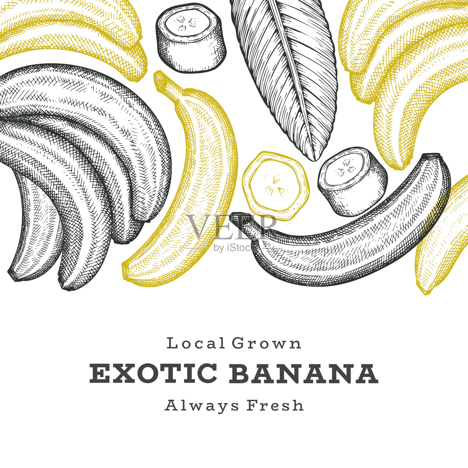 手绘素描风格的香蕉旗帜有机插画图片素材