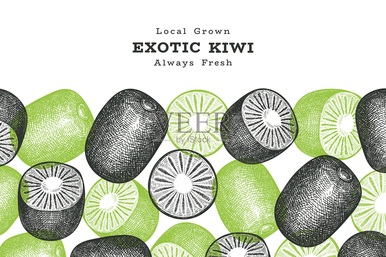 手绘写生风格的奇异果横幅有机清新插画图片素材