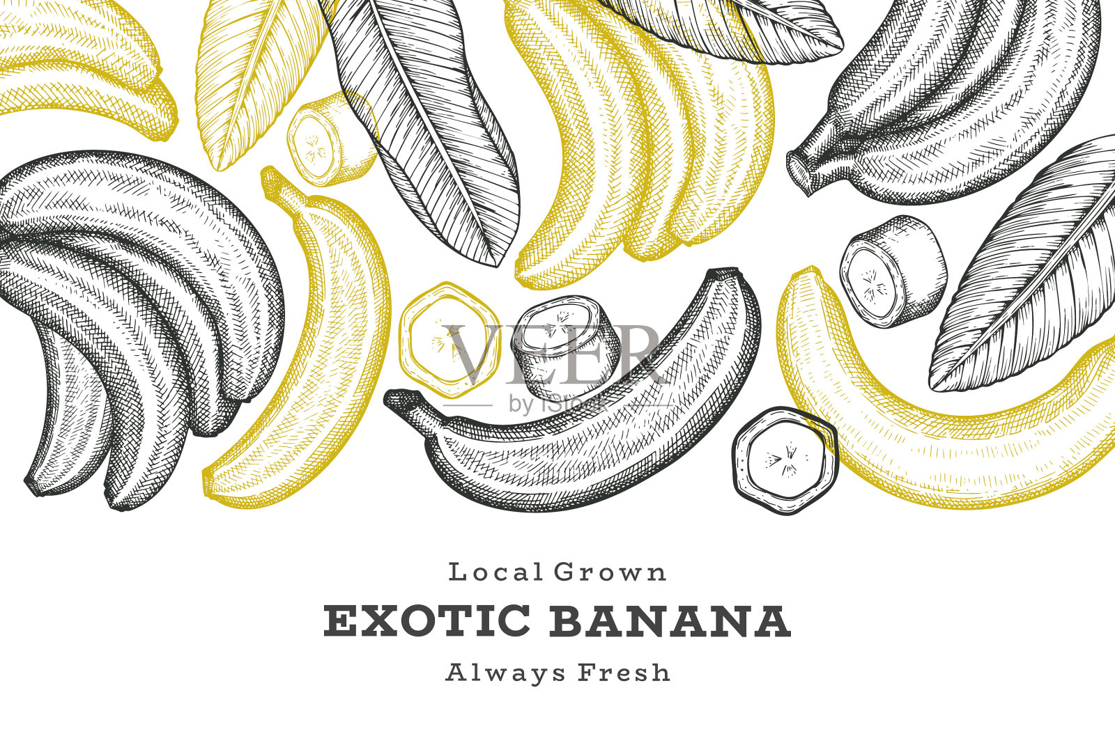 手绘素描风格的香蕉旗帜有机插画图片素材