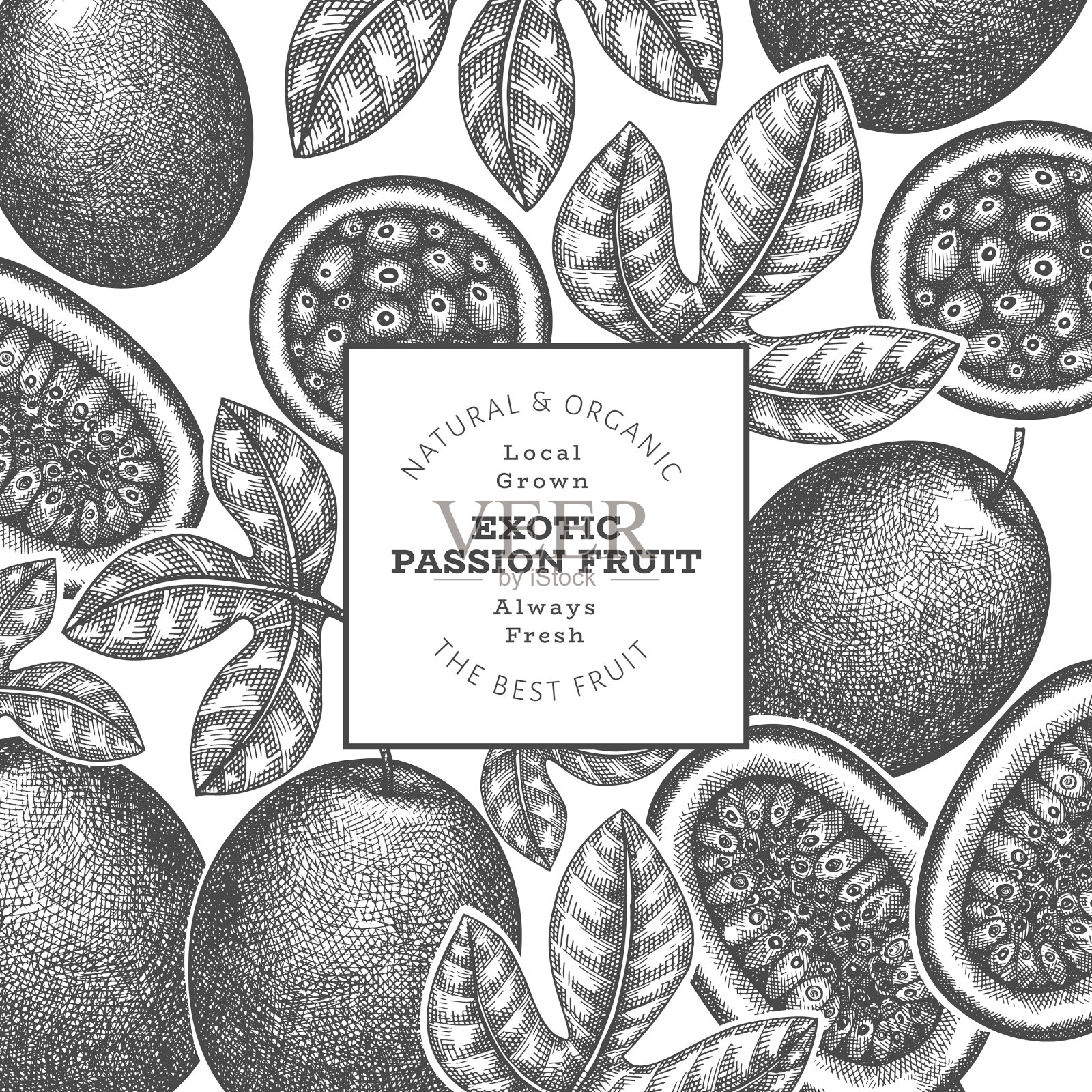 手绘素描风格的百香果横幅插画图片素材