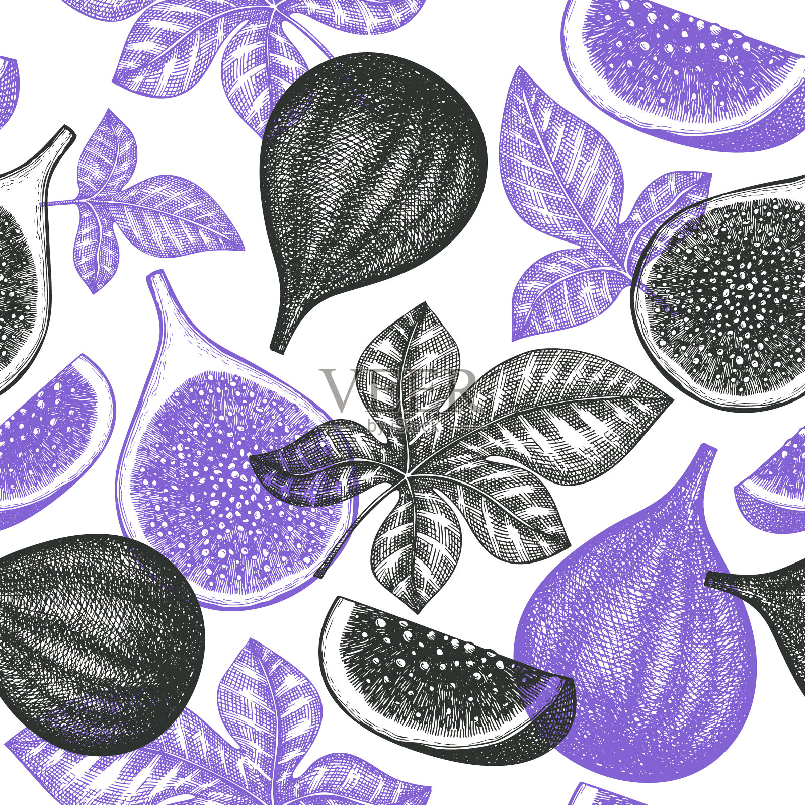 手绘无花果果实无缝有机图案插画图片素材